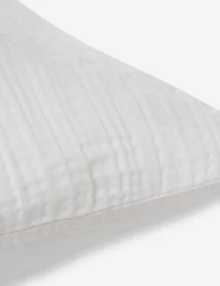 Darcy Sham 33 Darcy Sham -Home Furnishings 103 V250172 3 900x c2dc3a83 0488 4d19 b802 be787c8379f4