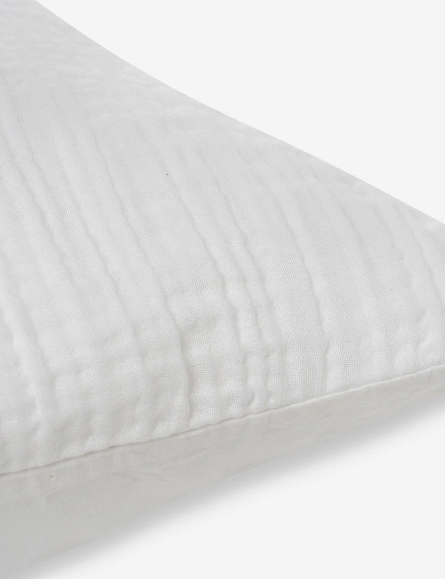 Darcy Sham 17 Darcy Sham - Image 17