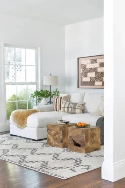 Sitara Rug -Home Furnishings 20190912 25th st home0379 high res low 5