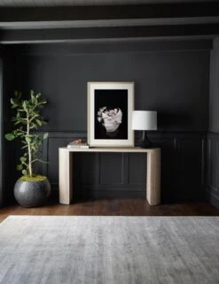 Nambi: Pose II, WOVEN Series Photography Print By Ashley Johnson -Home Furnishings 20210526 ConsoleArtVignette 7204 NOART