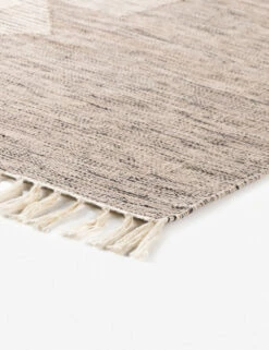 Iliana Indoor / Outdoor Rug -Home Furnishings 227629 001 DET 1