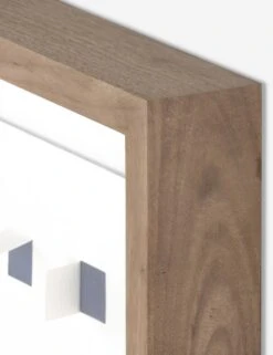 See Through Wall Art -Home Furnishings 233200 003 DET 1