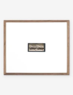 Monarch Of The Plain Photography Print By Gold Rush Art Co