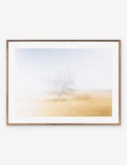 A House Miles From Home Photography Print By Toni Toscano