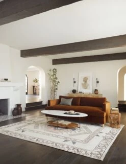 Zehra Rug -Home Furnishings 3 zehra living room 30