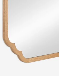 Dandridge Mirror -Home Furnishings 41915 5