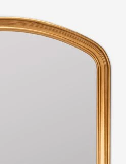Oralie Full Length Mirror -Home Furnishings 42200 5