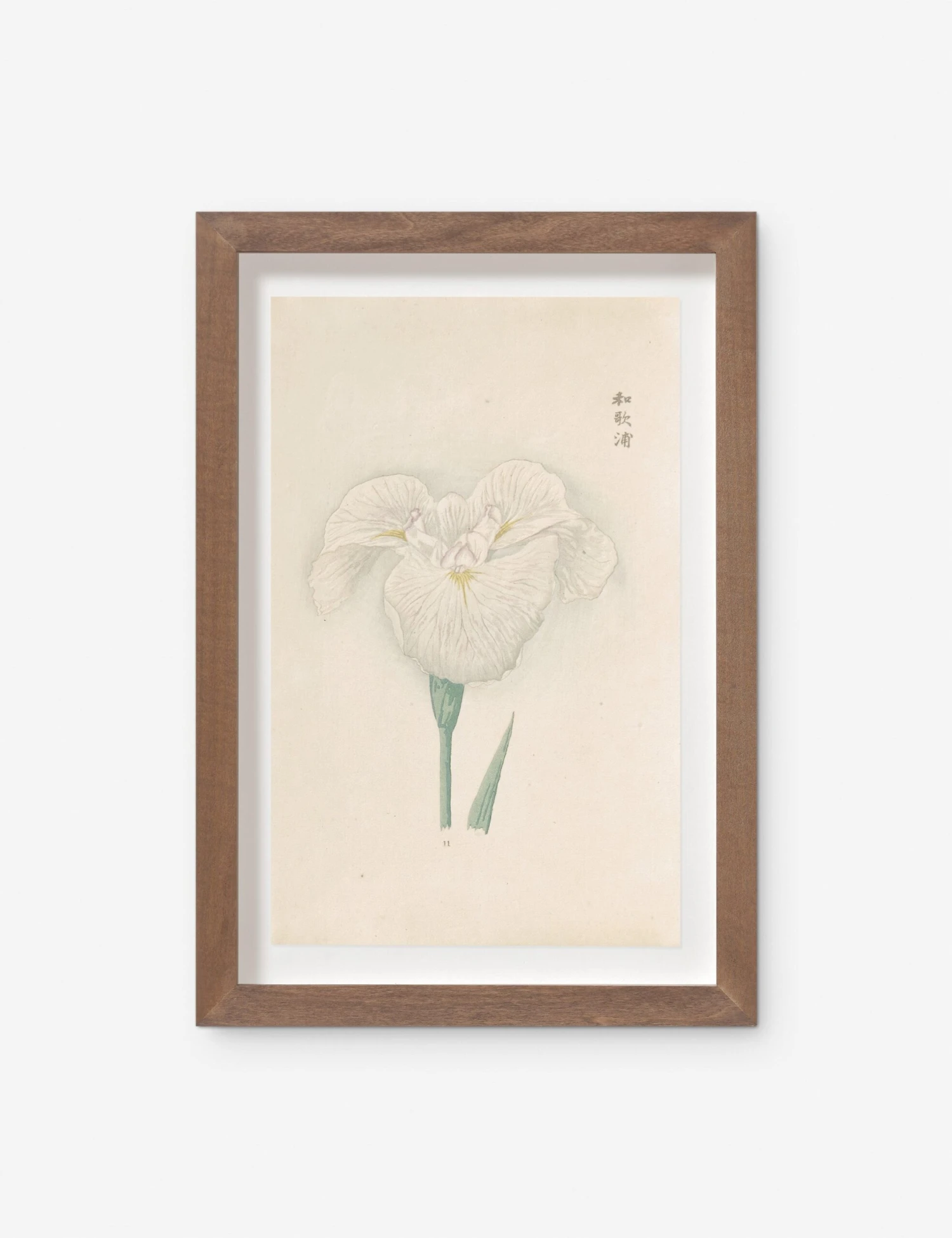 Vintage Japanese Iris No. 11 Wall Art By Miyoshi Manabu 1 Vintage Japanese Iris No. 11 Wall Art By Miyoshi Manabu
