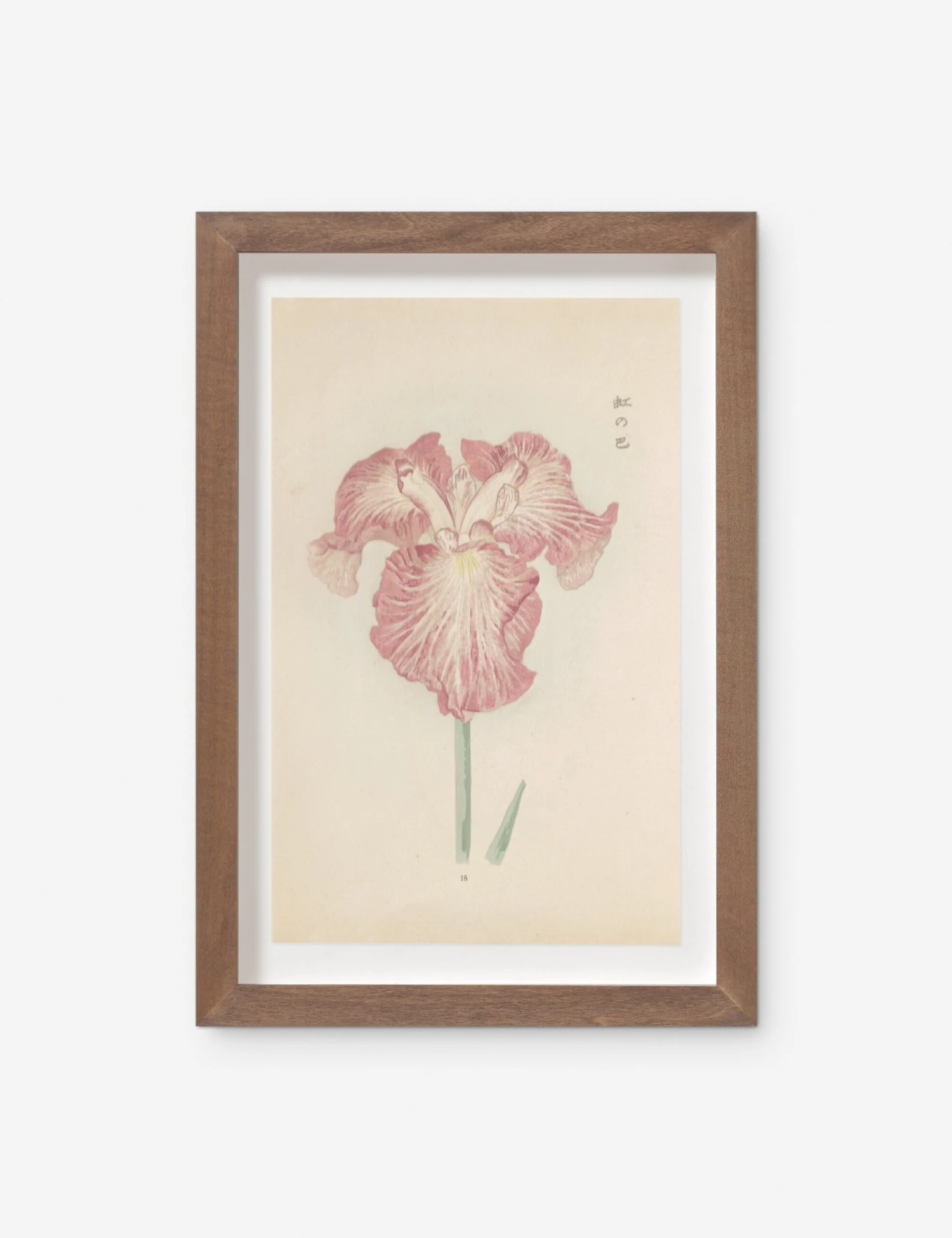 Vintage Japanese Iris No. 18 Wall Art By Miyoshi Manabu 1 Vintage Japanese Iris No. 18 Wall Art By Miyoshi Manabu