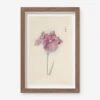 Vintage Japanese Iris No. 24 Wall Art By Miyoshi Manabu