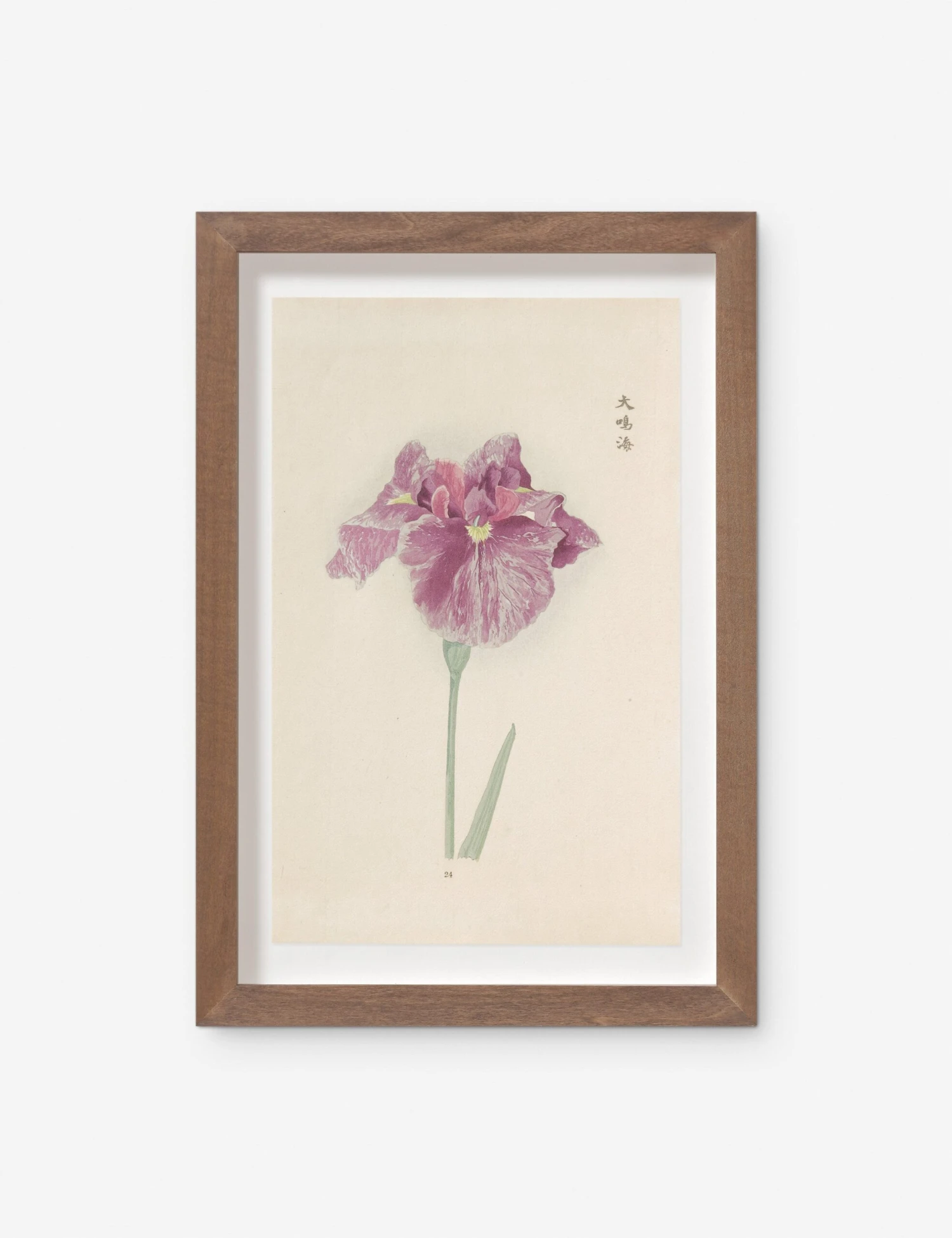 Vintage Japanese Iris No. 24 Wall Art By Miyoshi Manabu 1 Vintage Japanese Iris No. 24 Wall Art By Miyoshi Manabu