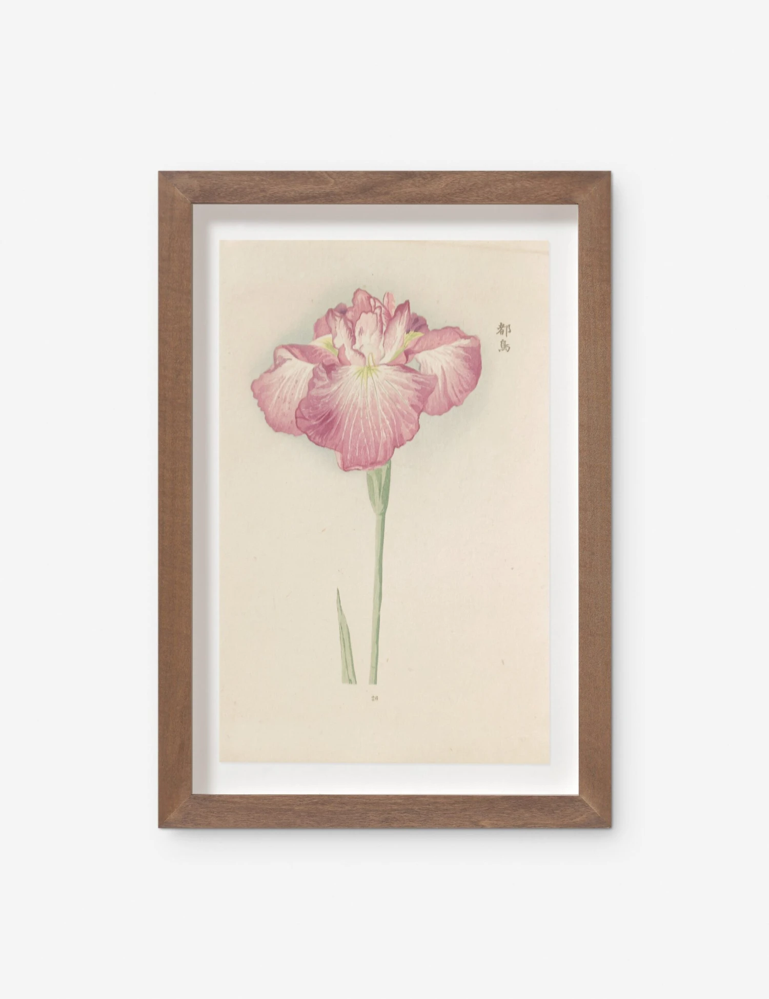 Vintage Japanese Iris No. 26 Wall Art By Miyoshi Manabu 1 Vintage Japanese Iris No. 26 Wall Art By Miyoshi Manabu