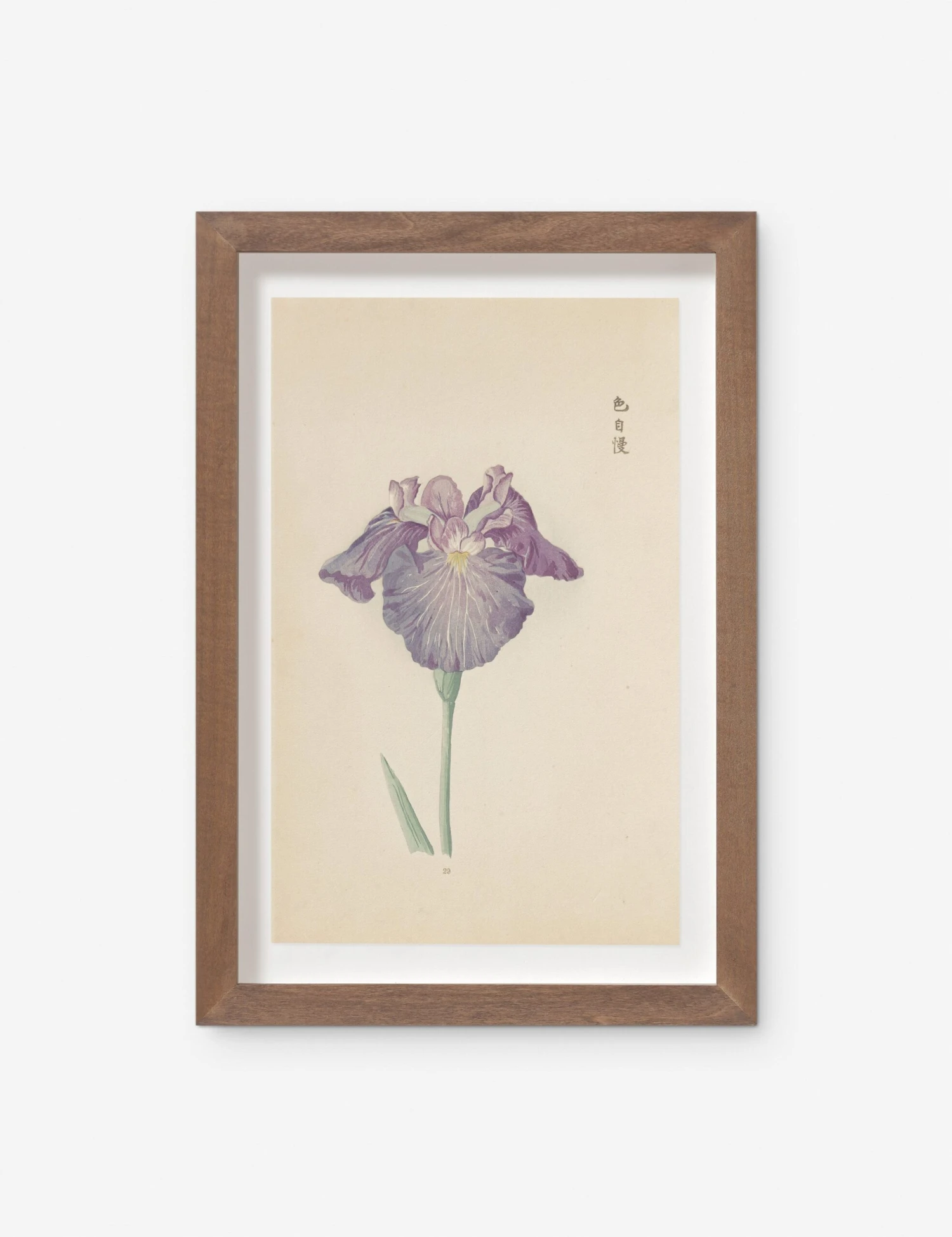 Vintage Japanese Iris No. 29 Wall Art By Miyoshi Manabu 1 Vintage Japanese Iris No. 29 Wall Art By Miyoshi Manabu