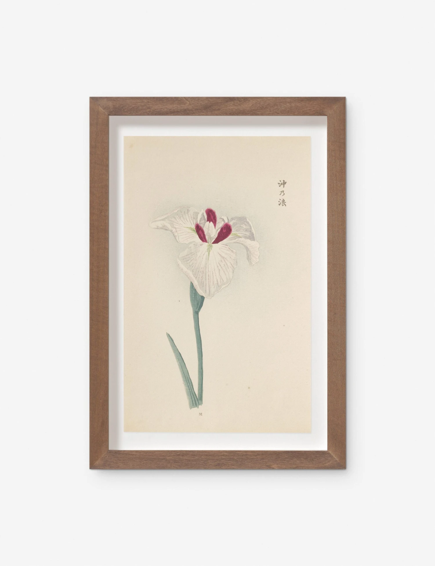 Vintage Japanese Iris No. 31 Wall Art By Miyoshi Manabu 1 Vintage Japanese Iris No. 31 Wall Art By Miyoshi Manabu