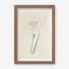 Vintage Japanese Iris No. 36 Wall Art By Miyoshi Manabu