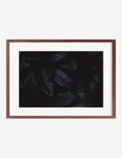 Still Life 3 Photography Print By Ashley Johnson -Home Furnishings AshleyJohnsonStillLIfePack7 3walnutframe