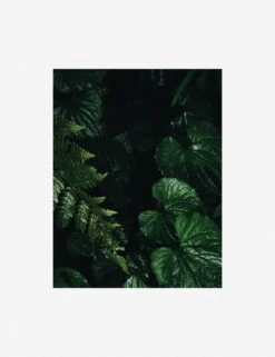 Still Life 14 Photography Print By Ashley Johnson 12 Still Life 14 Photography Print By Ashley Johnson -Home Furnishings AshleyJohnsonStillLifePack7 14unframed