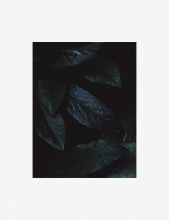 Still Life 3 Photography Print By Ashley Johnson -Home Furnishings AshleyJohnsonStillLifePack7 3unframed