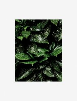 Still Life 7 Photography Print By Ashley Johnson -Home Furnishings AshleyJohnsonStillLifePack7 7unframed