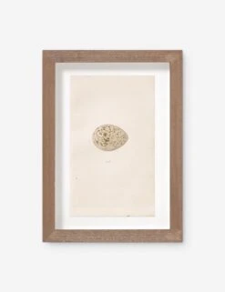 Vintage Bird Watercolor No. 305 Wall Art By Visual Contrast