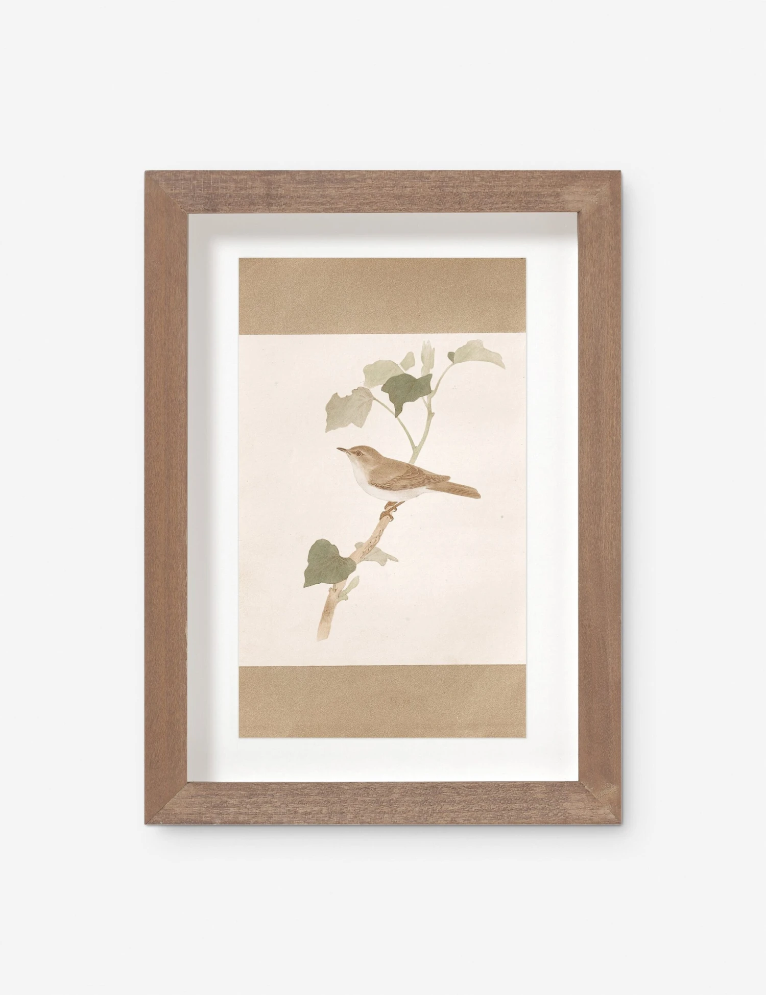 Vintage Bird Watercolor No. 70 Wall Art By Visual Contrast 1 Vintage Bird Watercolor No. 70 Wall Art By Visual Contrast