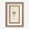 Vintage Bird Watercolor No. 74 Wall Art By Visual Contrast