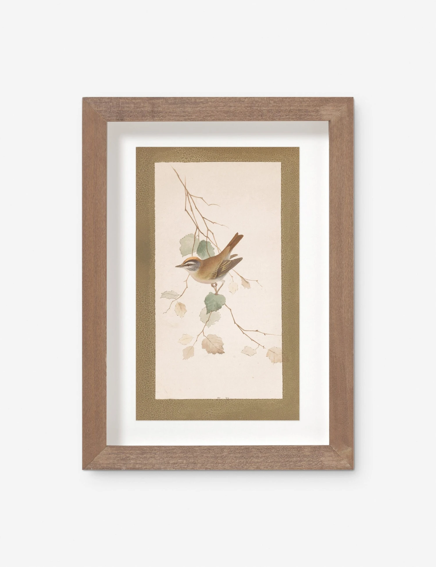 Vintage Bird Watercolor No. 74 Wall Art By Visual Contrast 1 Vintage Bird Watercolor No. 74 Wall Art By Visual Contrast
