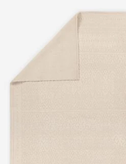 Pavan Rug -Home Furnishings BRR03 2