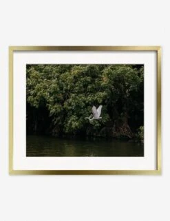 Lake Nicaragua Photography Print By Carley Rudd -Home Furnishings CarleyRuddLakeNicaraguaGoldFrame