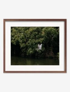Lake Nicaragua Photography Print By Carley Rudd -Home Furnishings CarleyRuddLakeNicaraguaWalnutFrame