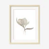 Pale Bouquet Print By Céline Nordenhed