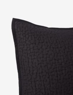 Clemence Sham -Home Furnishings ClemenceSham Charcoal Euro L0466349 108