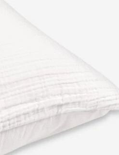 Darcy Sham 27 Darcy Sham -Home Furnishings DarcySham2 ef35bb42 d492 4121 9bfb f0e6be8ba96e