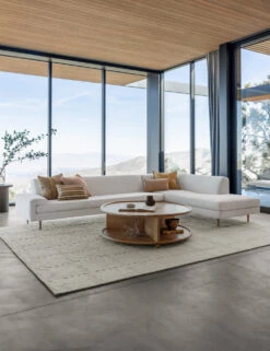 Dolan Rug -Home Furnishings DolanLivingRoomV2 4514 SITECROP 1