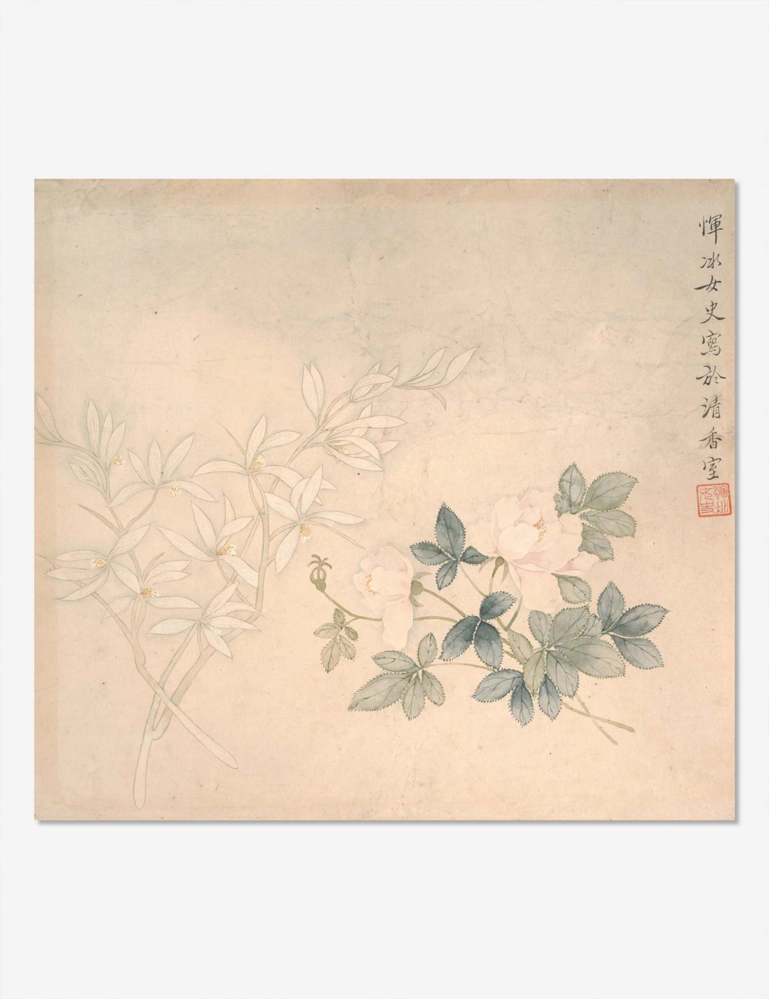 Flower Study 1 Print By Yun Bing 2 Flower Study 1 Print By Yun Bing - Image 2