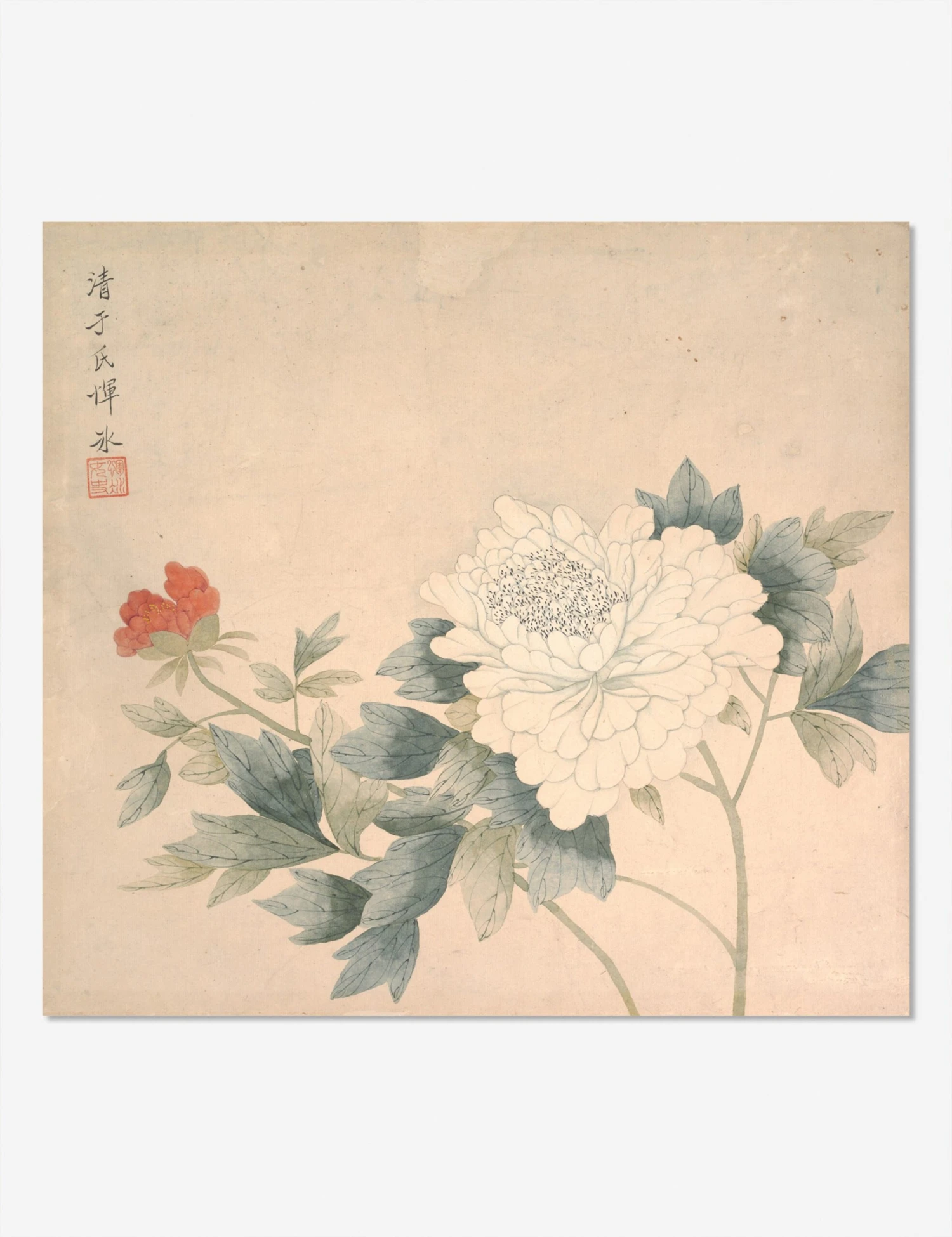 Flower Study 2 Print By Yun Bing 2 Flower Study 2 Print By Yun Bing - Image 2