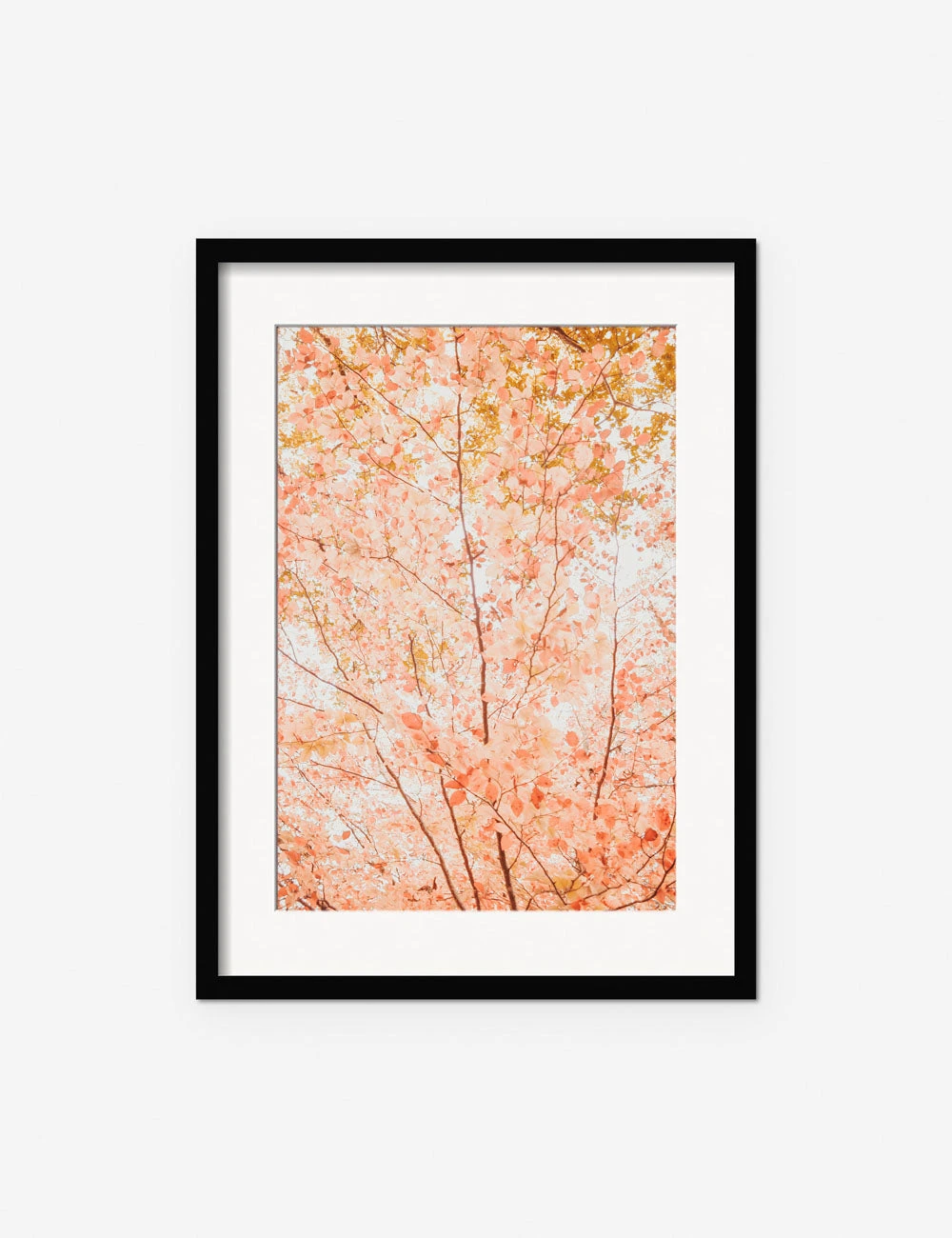 Pastel Fall Tree Photography Print By Ingrid Beddoes 2 Pastel Fall Tree Photography Print By Ingrid Beddoes - Image 2