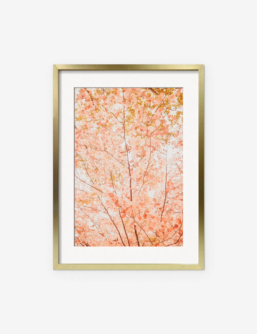Pastel Fall Tree Photography Print By Ingrid Beddoes 3 Pastel Fall Tree Photography Print By Ingrid Beddoes - Image 3