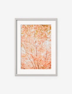 Pastel Fall Tree Photography Print By Ingrid Beddoes 10 Pastel Fall Tree Photography Print By Ingrid Beddoes -Home Furnishings IngridPastelFallTreeSilverFrame