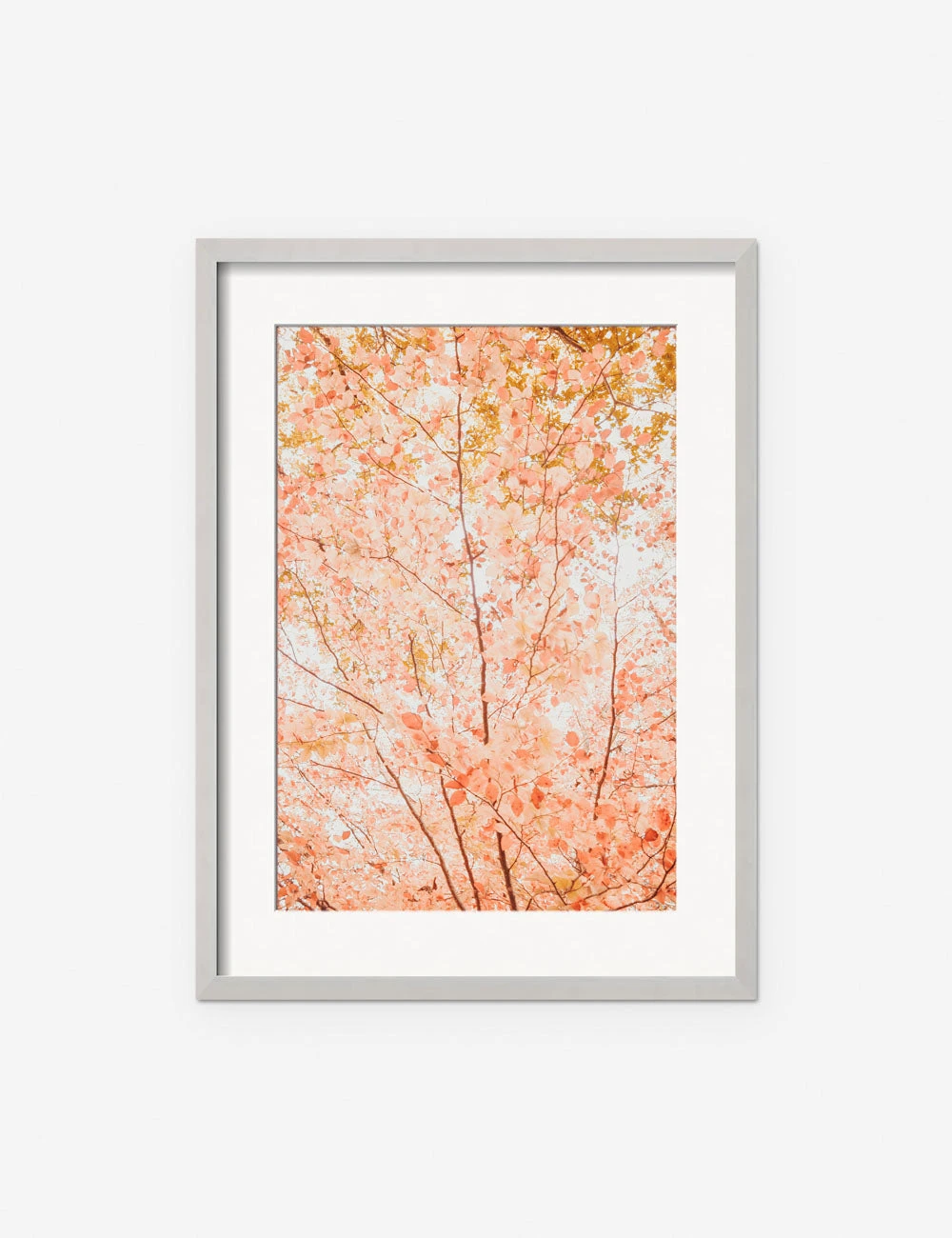 Pastel Fall Tree Photography Print By Ingrid Beddoes 4 Pastel Fall Tree Photography Print By Ingrid Beddoes - Image 4