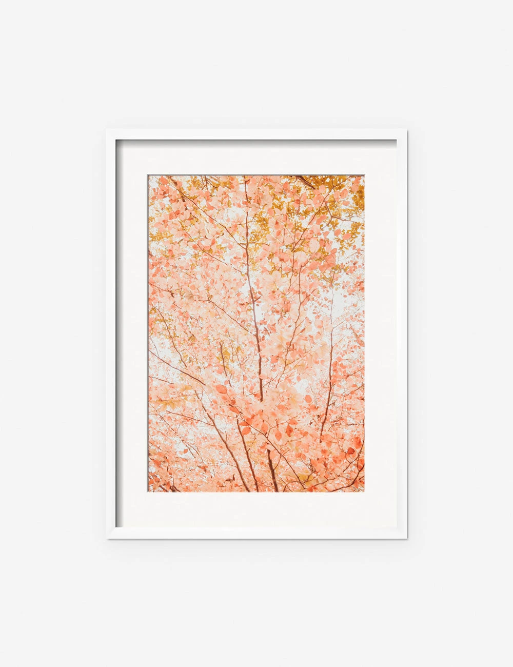 Pastel Fall Tree Photography Print By Ingrid Beddoes 6 Pastel Fall Tree Photography Print By Ingrid Beddoes - Image 6