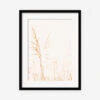 Wild Grass Photography Print By Ingrid Beddoes