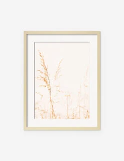 Wild Grass Photography Print By Ingrid Beddoes -Home Furnishings IngridWildGrassNaturalFrame