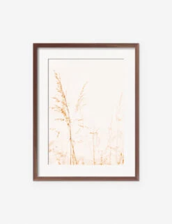 Wild Grass Photography Print By Ingrid Beddoes -Home Furnishings IngridWildGrassWalnutFrame