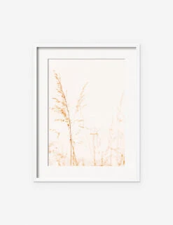 Wild Grass Photography Print By Ingrid Beddoes -Home Furnishings IngridWildGrassWhiteFrame