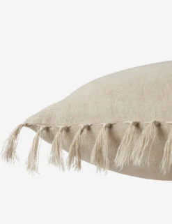 Roy Linen Pillow -Home Furnishings JEM07 2