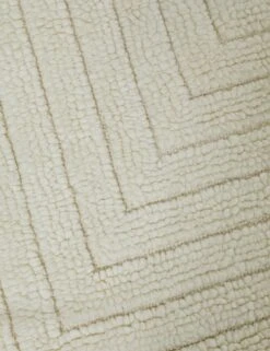 Jaela Rug 7 Jaela Rug -Home Furnishings JaelaRug 8 x10 A0654558 17221 SITECROP