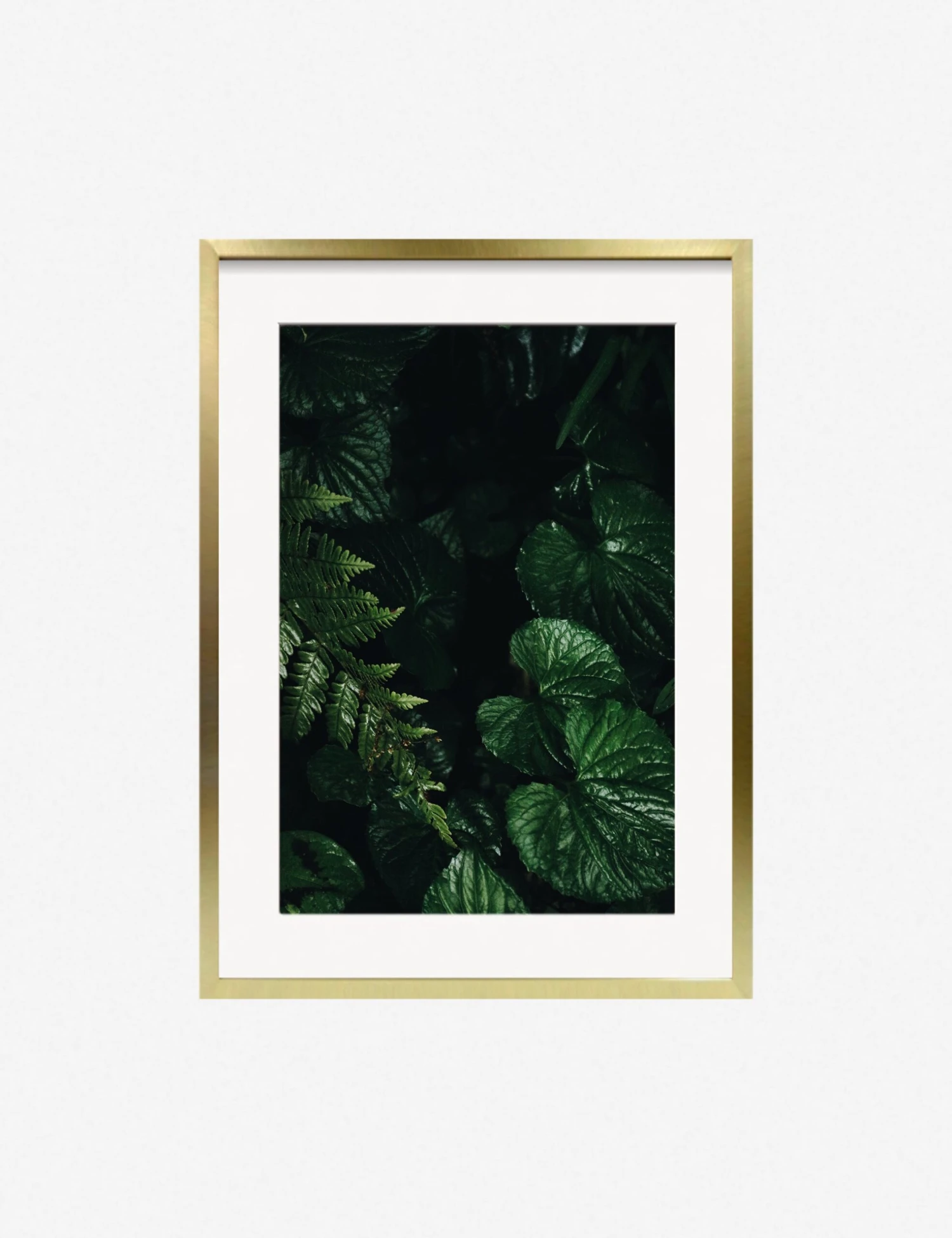 Still Life 14 Photography Print By Ashley Johnson 2 Still Life 14 Photography Print By Ashley Johnson - Image 2