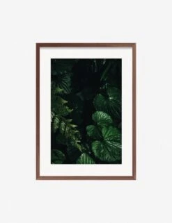 Still Life 14 Photography Print By Ashley Johnson 10 Still Life 14 Photography Print By Ashley Johnson -Home Furnishings JohnsonStillLIfepack7 14Walnutframe