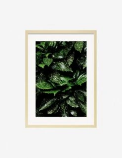 Still Life 7 Photography Print By Ashley Johnson -Home Furnishings JohnsonStillLifePack7 7naturalframe